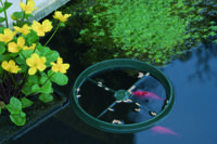 Vijveraccessoires Visvoederring Ubbink - Ubbink - thumbnail