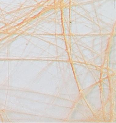 Vaessen Creative • sizoweb 5mx30cm in koker abrikoos