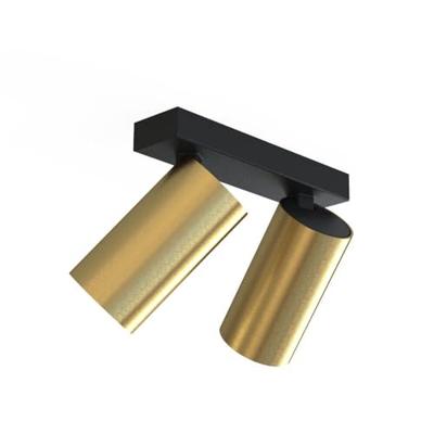 Lyora Gouden opbouwspotMono 2-lichts kantelbaar - 7782 - thumbnail