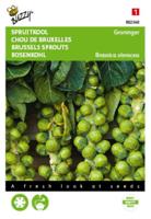 Spruitkool Groninger - thumbnail