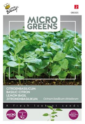 Microgreens, Citroenbasilicum