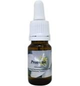 Star Remedies Protectie 10 Milliliter - thumbnail