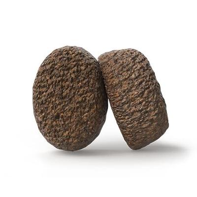 JOSERA Adult Large Optiness lam & Rijst (1 x 12,5 kg) | Premium droogvoer voor volwassen honden | eiwitgereduceerd | tarwevrij | waardevolle vetzuren | XL-roketten tegen lussen | 1 stuk verpakt