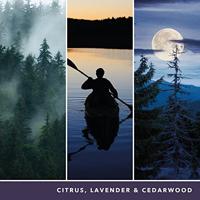 Yankee Candle midsummers night signature medium jar - thumbnail