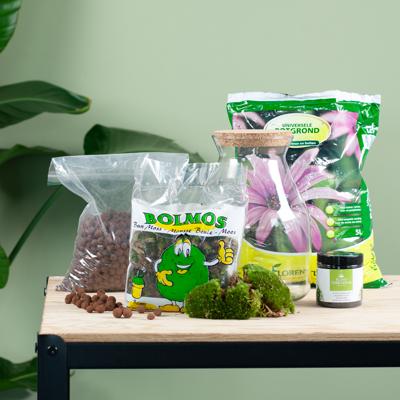 Plantenterrarium kit (DIY)