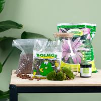 Plantenterrarium kit (DIY) - thumbnail