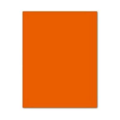 Fiches Iris Mandarijn 50 x 65 cm