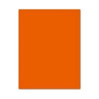 Fiches Iris Mandarijn 50 x 65 cm - thumbnail