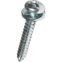 Dresselhaus kentekenplaatschroef tapping screws 5.5x16 4 pcs. in a bag - thumbnail