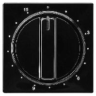 GIRA INZPL TIMER 15MIN ZW SC