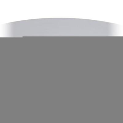 Remschijf 24012501981