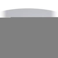 Remschijf 24012501981 - thumbnail