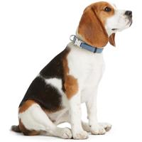 Hondenhalsband Hunter VARIO BASIC Blauw XL 45-65 cm - thumbnail