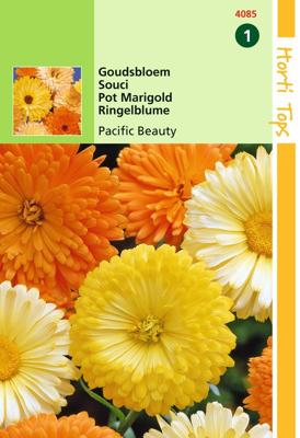 Zaden Calendula Goudsbloem Pacific Beauty gemengd Hortitops - Hortitops