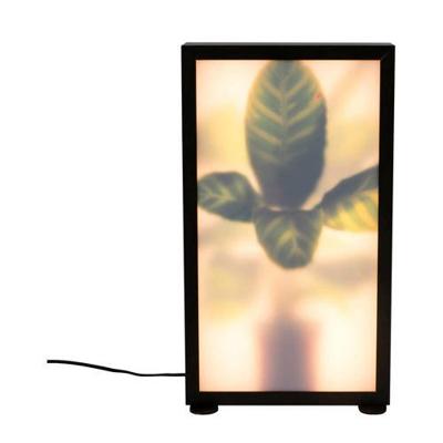 Zuiver Vloerlamp 'Grow' Zebraplant, 50cm