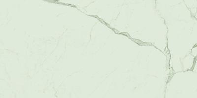 Exigo Calacatta gepolijst 60x120 rett