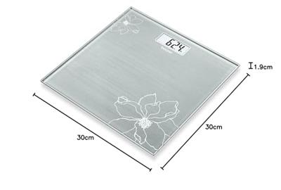 Beurer GS 10 Personenweegschaal Digitaal Weegbereik (max.): 180 kg RVS