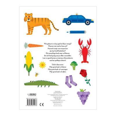 Mijn grote boek vol kleuren