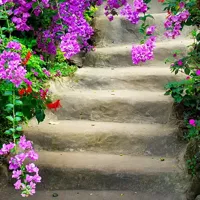 Alexsar Art Tuinschilderij bloemen trap 50x50cm - thumbnail