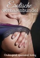 Erotische verhalenbundel - Diverse Auteurs - ebook - thumbnail