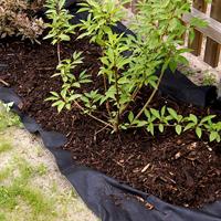 Connex Anti-Onkruidfolie 5X0.91M 80G Zwart - FLOR80360 - thumbnail