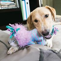 KONG KNOTS CARNIVAL OLIFANT 17X12,5X9 CM - thumbnail