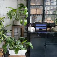 Elektrische Muggenwegjager JATA MOST3544 - thumbnail