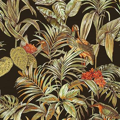 DUTCH WALLCOVERINGS behang bird-of-paradise zwart