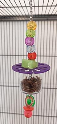 PETLALA SINGLE FORAGING CUP