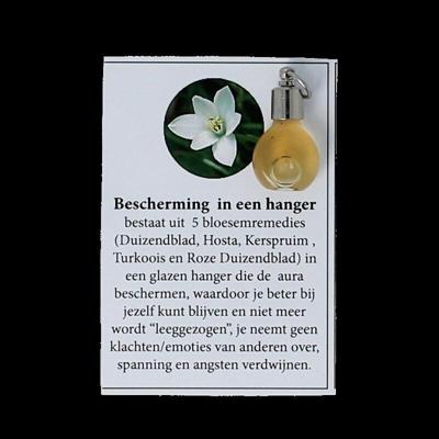 Hanger met bescherming 1 Stuks