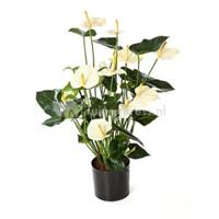 Kunstplant Anthurium cream - thumbnail