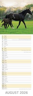 Baby Animals Slimline Kalender 2026