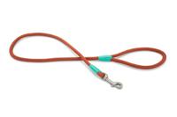 Beeztees Nikra - Hondenriem - Lichtbruin - 100 cm x10 mm - thumbnail