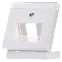 Gira inzetplaat tekstkader glanzend wit voor UAE computeraansluitdozen RJ45 028403