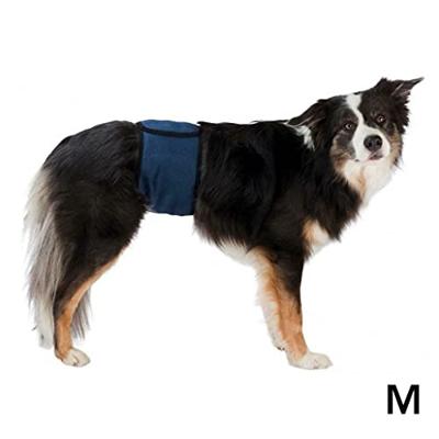 Bevestigingsband Trixie 45-55 cm Mannelijk Onderbuik - thumbnail