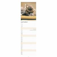 Kittens Kalender 2026 Slimline - thumbnail