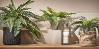 Decoratieve plant Mica Decorations Keramisch Palmboom (11,5 x 33 cm) - thumbnail