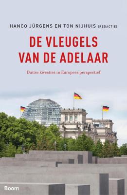 De vleugels van de adelaar - Hanco Jürgens, Ton Nijhuis - ebook