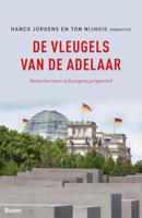 De vleugels van de adelaar - Hanco Jürgens, Ton Nijhuis - ebook - thumbnail