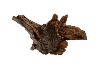 Driftwood Xxl aquaria SuperFish - Superfish - thumbnail