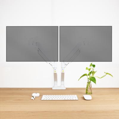 Monitor TooQ DB1434TNR-W 34" 13"