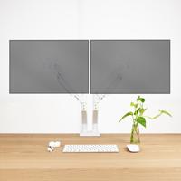 Monitor TooQ DB1434TNR-W 34" 13" - thumbnail