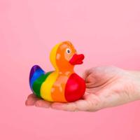 Badeendje - Regenboog - thumbnail