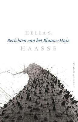Berichten van het Blauwe Huis - Hella S. Haasse - ebook