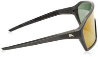 Alpina Ram Q-Lite - Sports Glasses - thumbnail