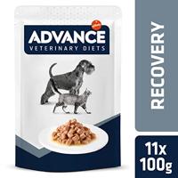 ADVANCE VETERINARY DIET DOG / CAT RECOVERY 11X100 GR - thumbnail