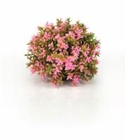 BiOrb bloemenbal roze aquarium decoratie - thumbnail