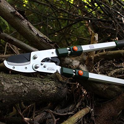 Siena Garden CL2103 Takkenschaar Amboss