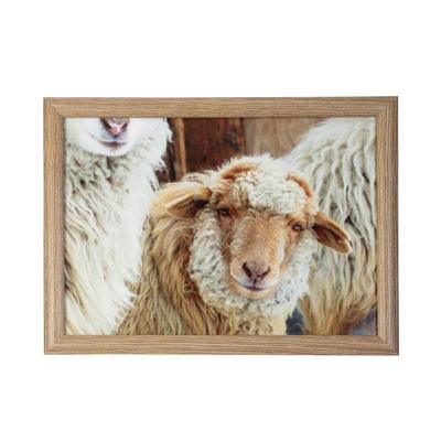 Mars & More Schootkussen schaapjes beige 43x33x9cm