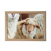 Mars & More Schootkussen schaapjes beige 43x33x9cm - thumbnail